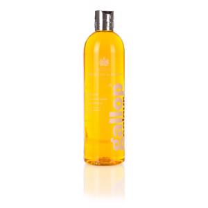 Carr & Day & Martin Gallop Colour Enhancing Shampoo - Chestnut & Palomino